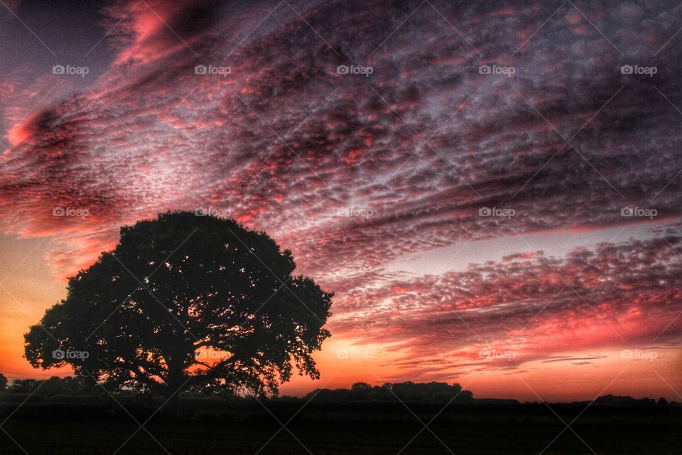 Cloudscape. A cloud formation lit up by a red sunset.