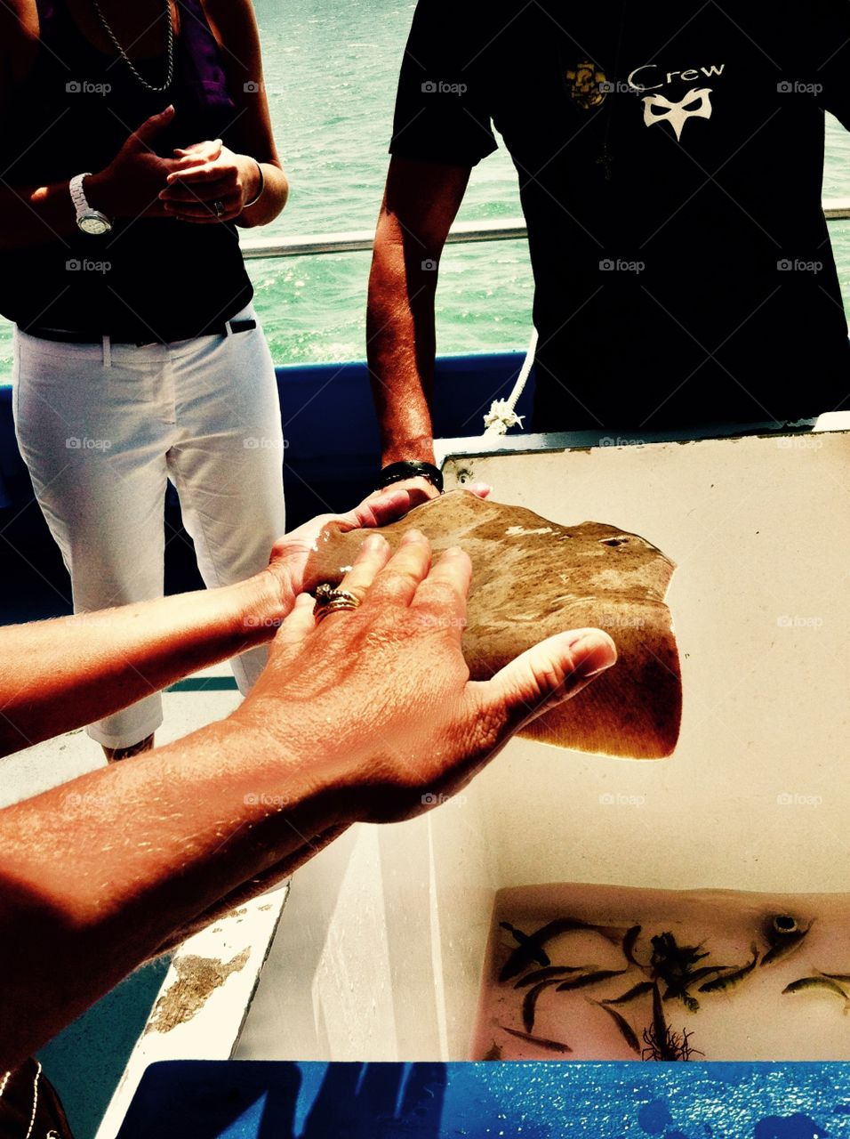 Fish from the ocean in Texas 