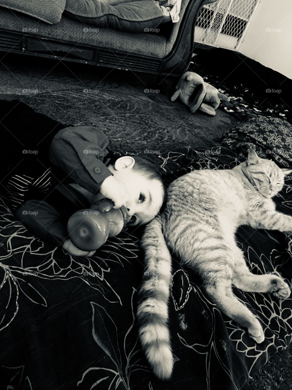 My baby boy on his first birthday with our adopted cat Sunny. 
