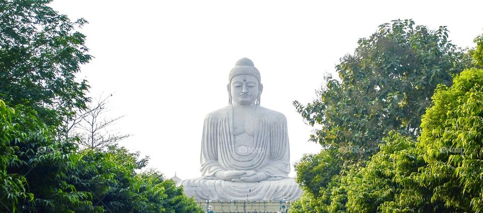 Giant Buddha Statue in India