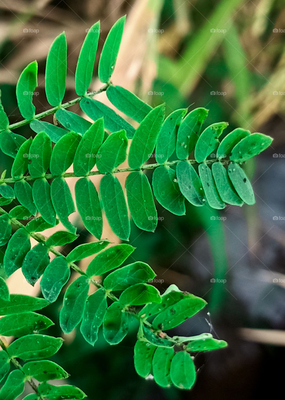 Look deep into nature, and than you will understand everything better.