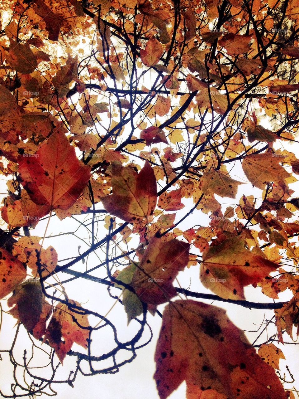 sky yellow nature outdoors by jmh