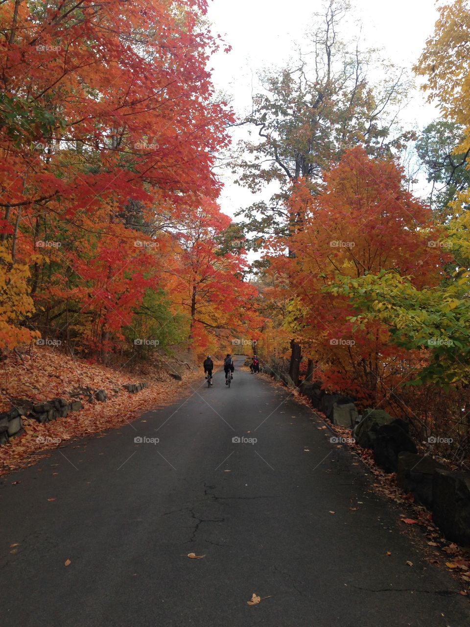 Fall colors in Palisades Park