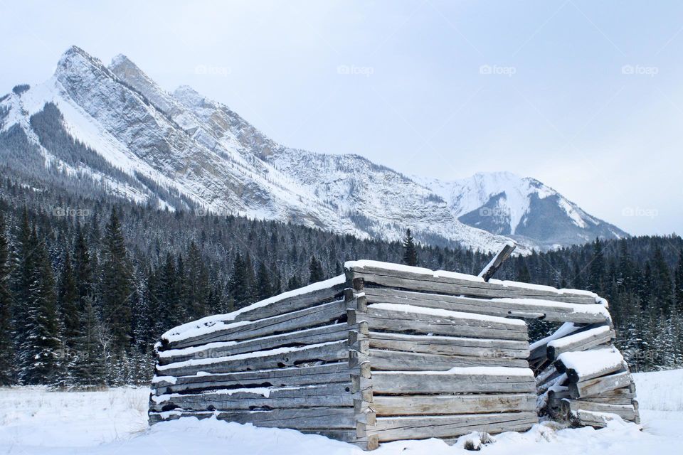 Abandoned cabin 