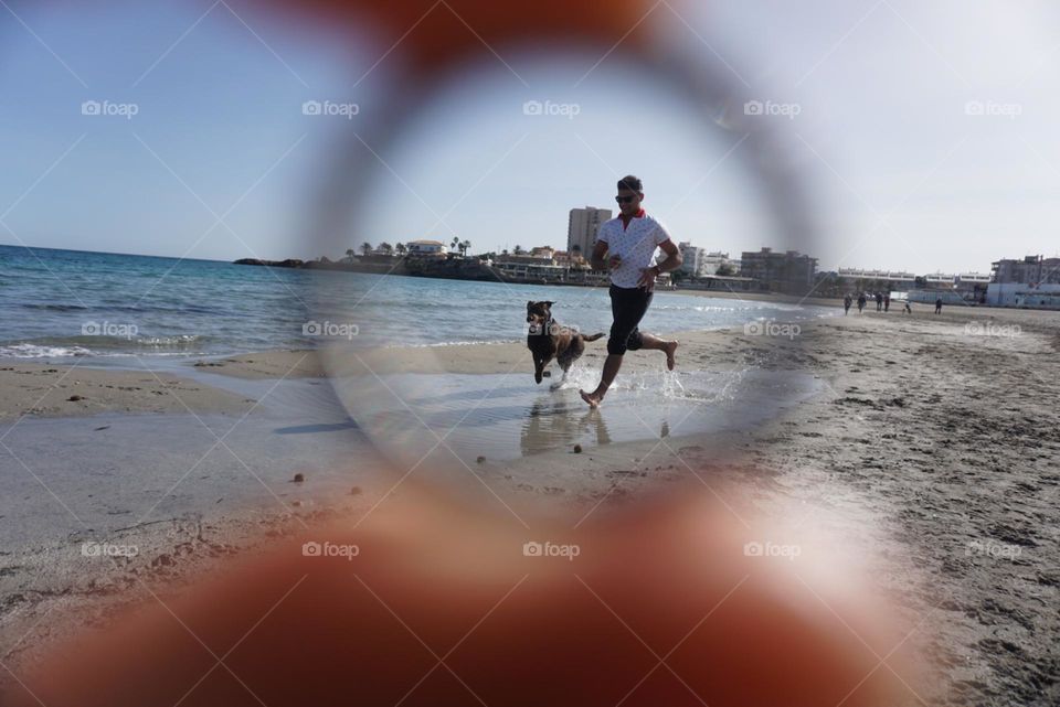 Beach#ring#human#dog#sea#play#run