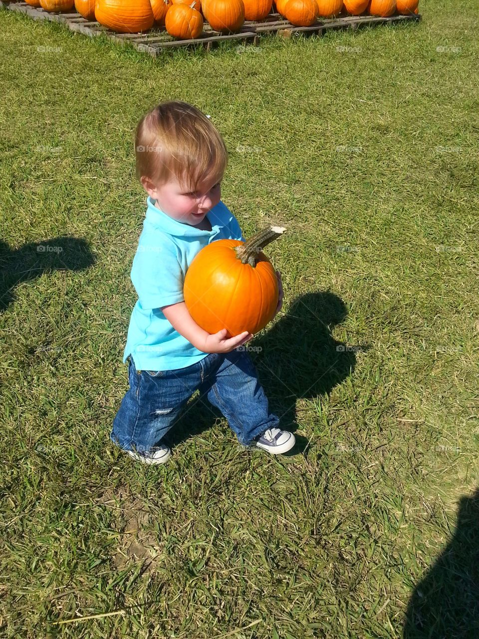 Charlie brown at the pumpkin patch. pumpkin patch in the fall with my babies