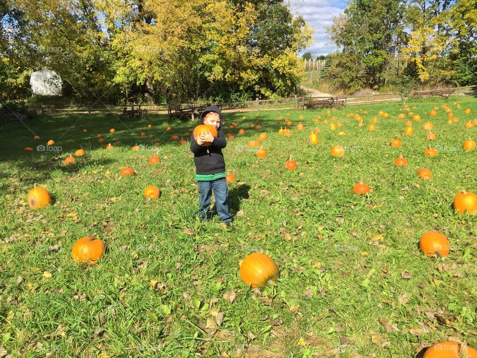 Boy holding pumpkin