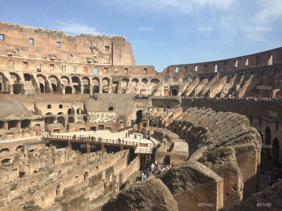 Colloseum 