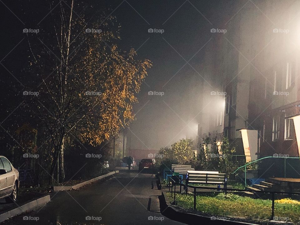 Foggy fall night