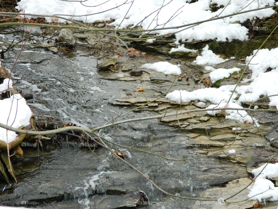 stream in the winter