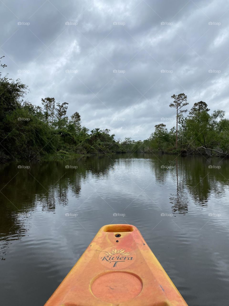 Swamp Kayaking 
