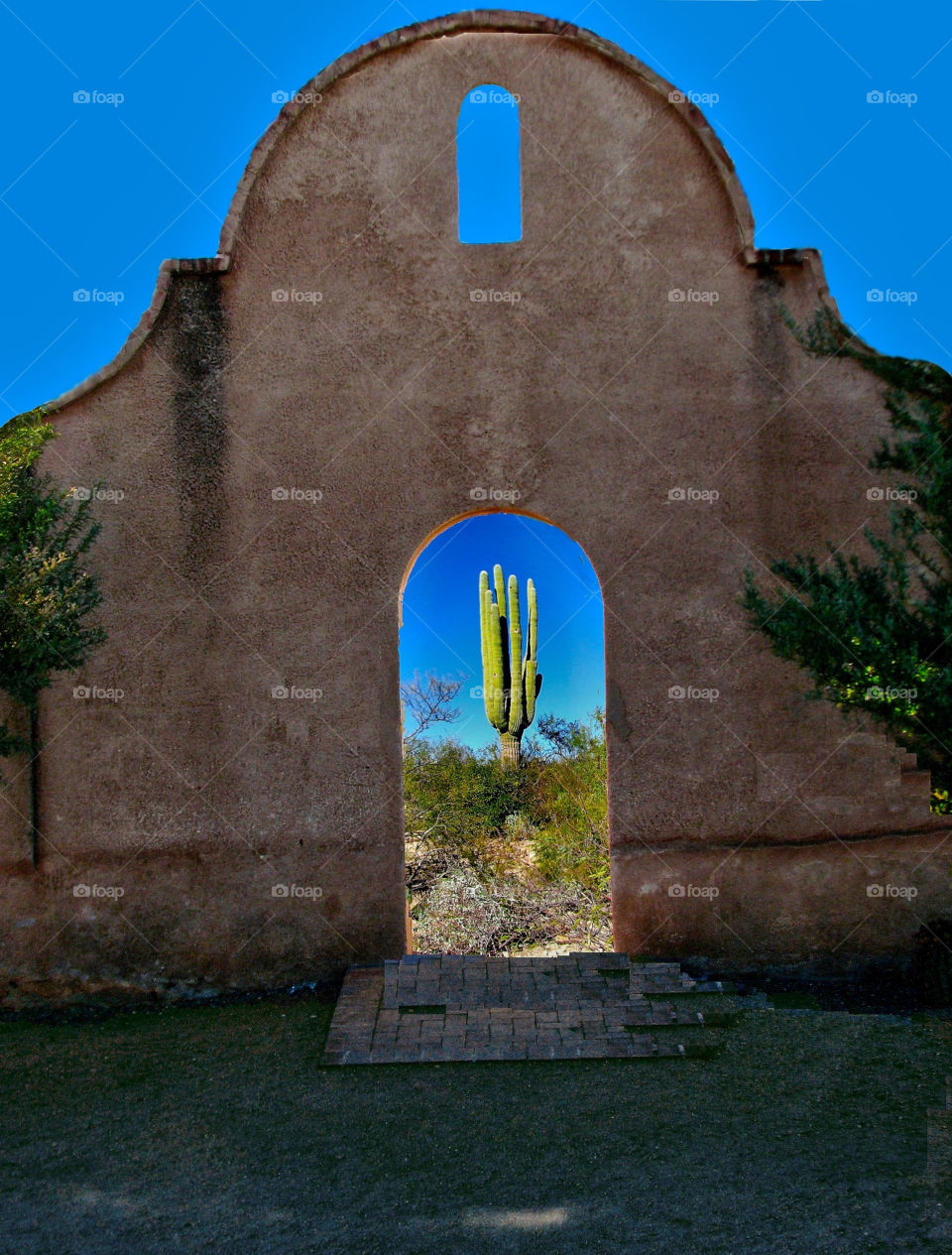 cactus arizona scenic arch by landon