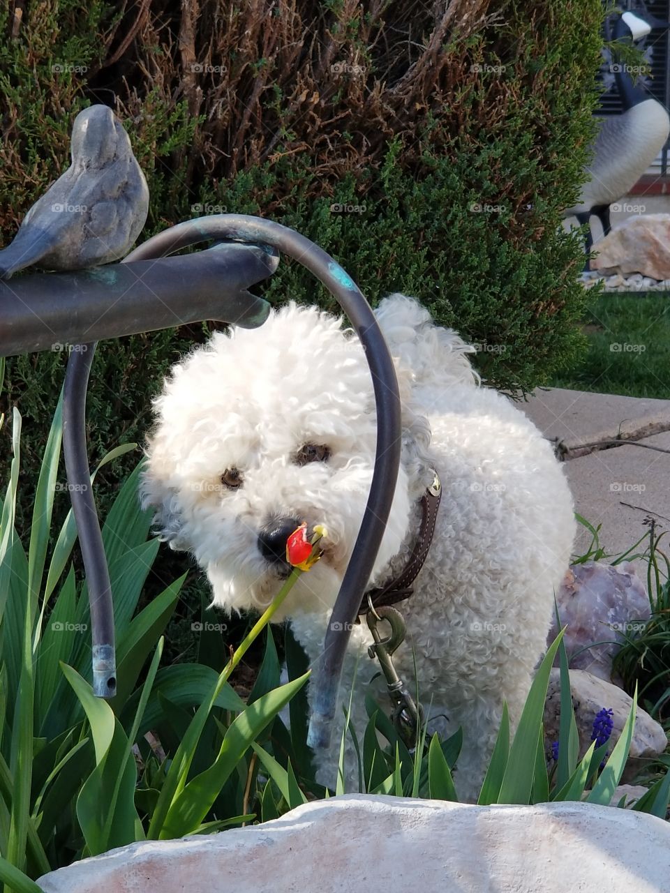 Smelling the flowers