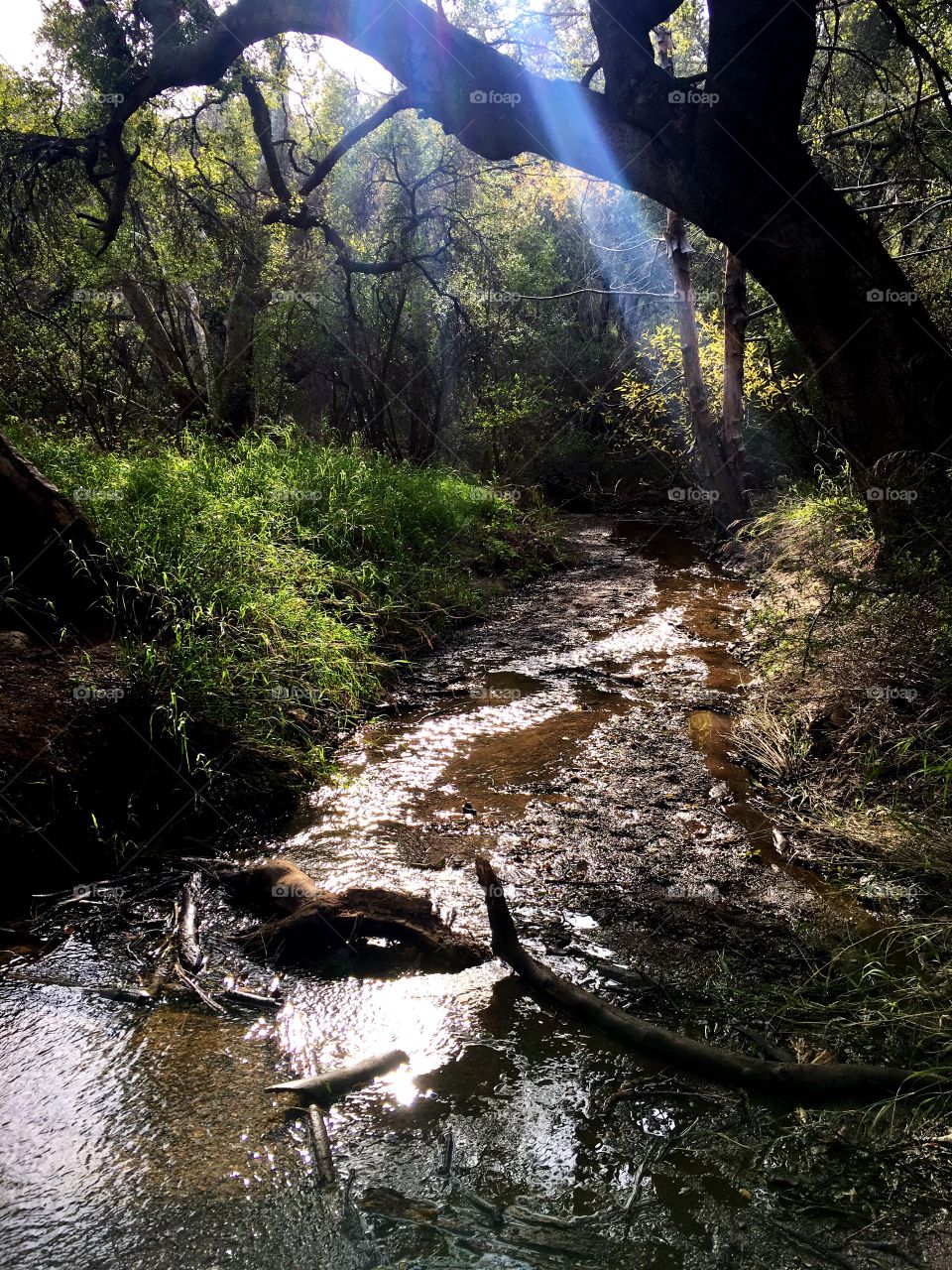 Lonely stream of water