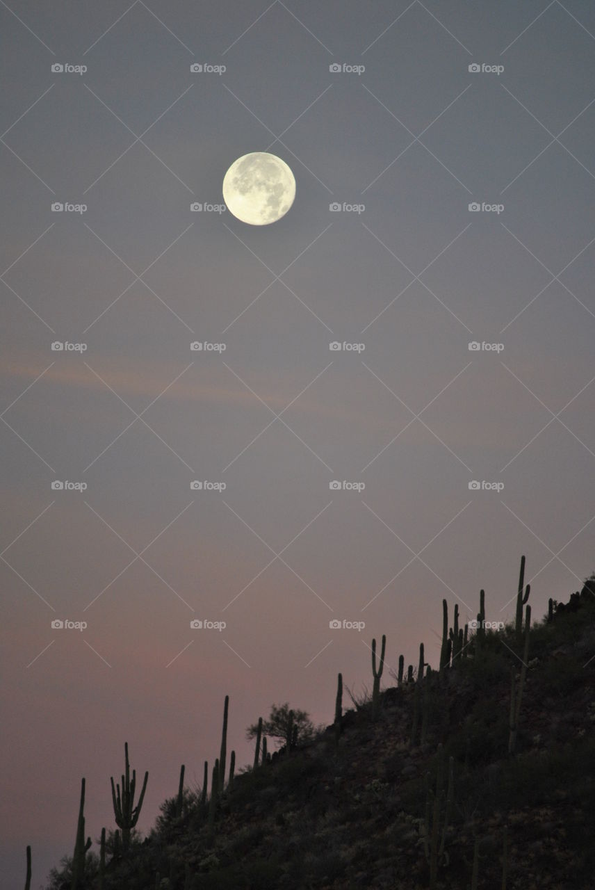 Blue moon over the Tucson desert 