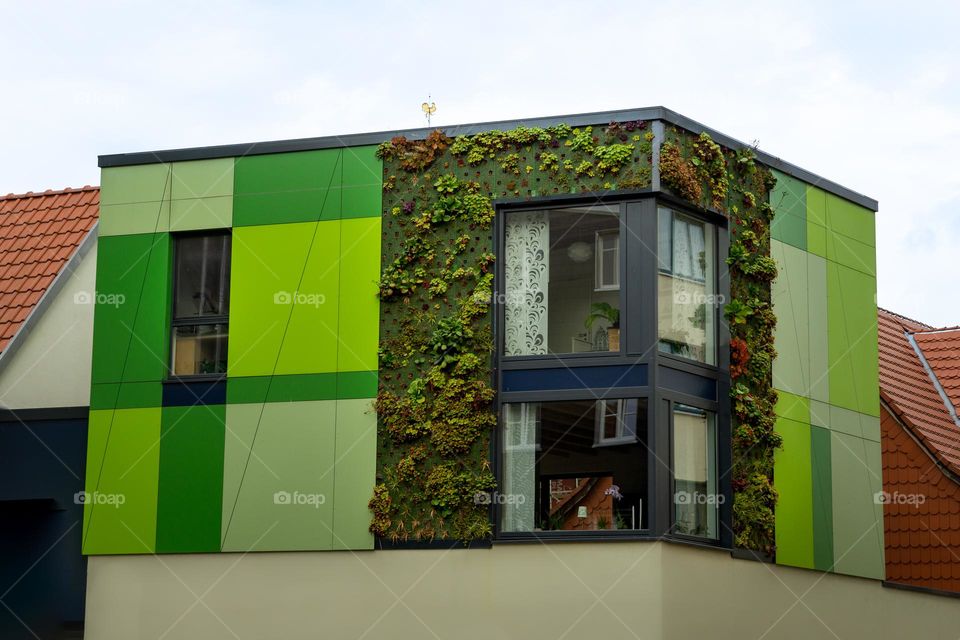 house wall with a lot of plants