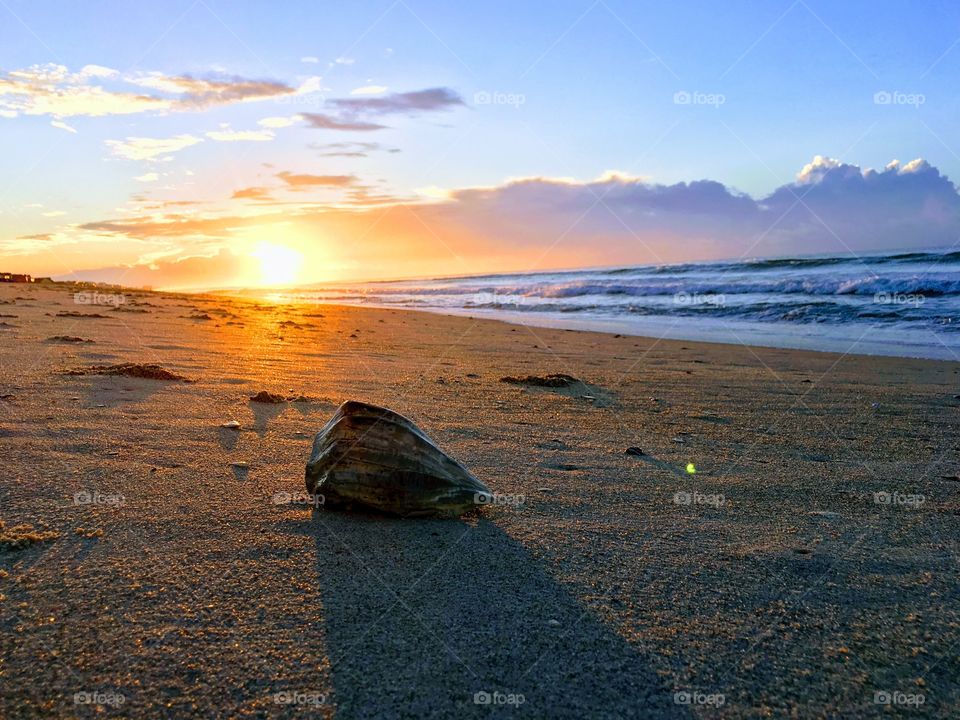 Nothing could be sweeter than Sunrises and Seashells at the Shore!