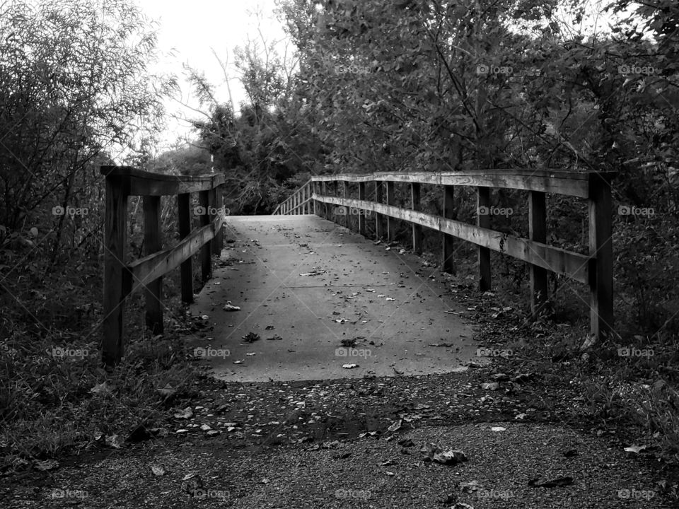 Cove Lake Park. This bridge goes across the lake. You walk the loop around and learn some history while you're at it.