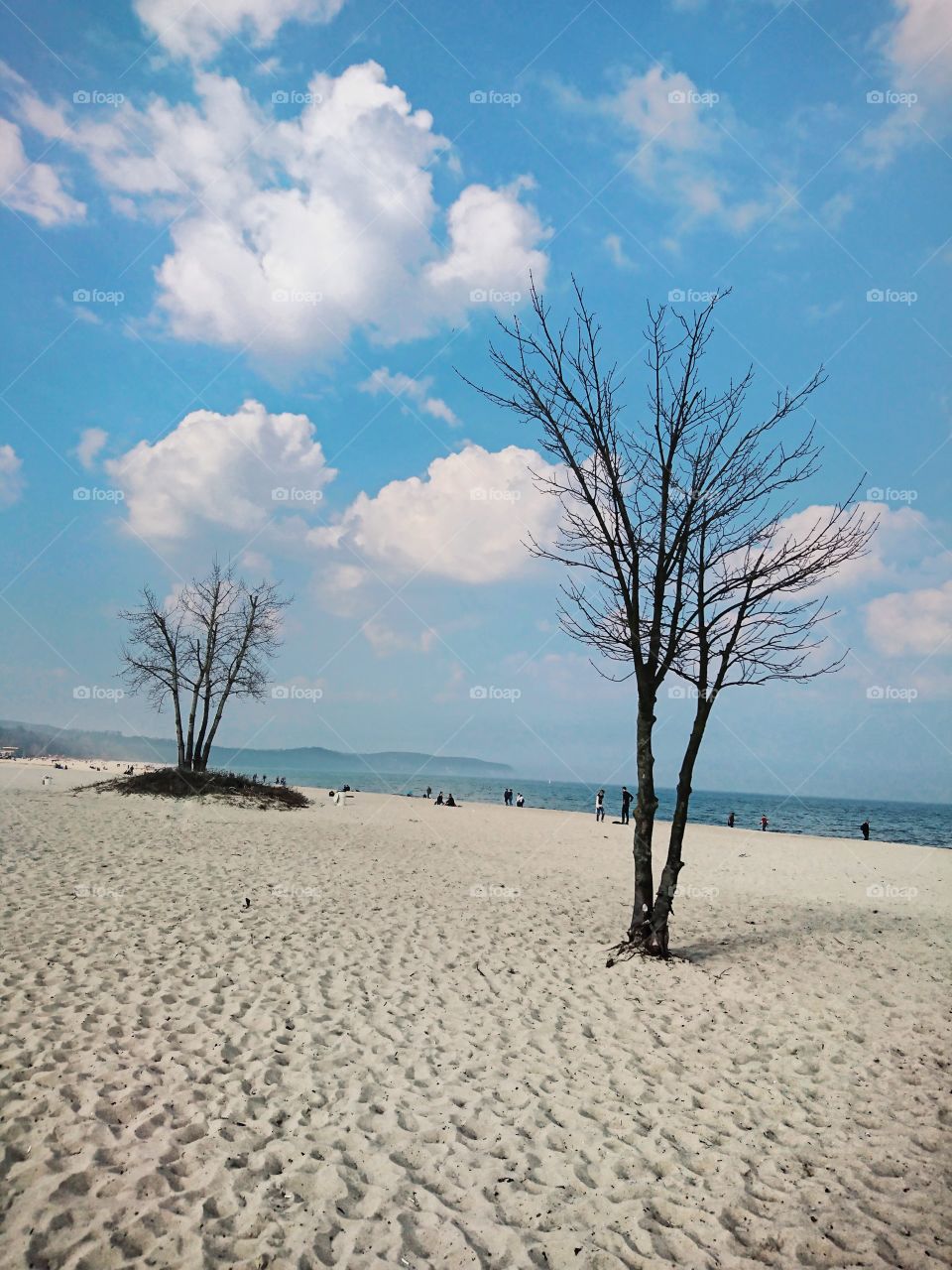 Sopot Beach