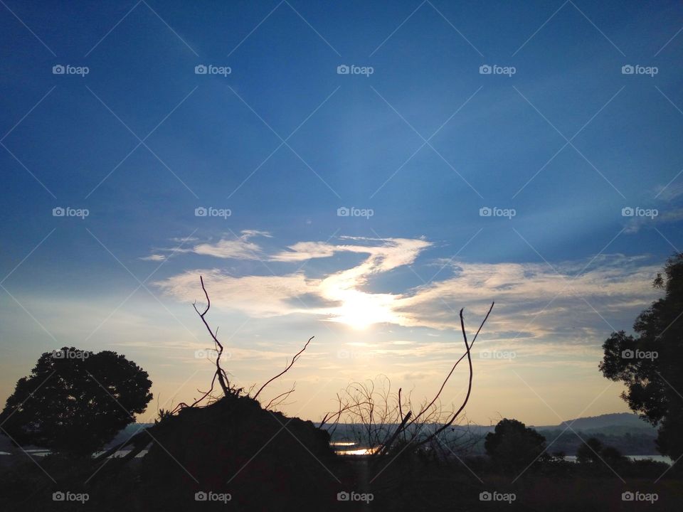 Silhouette at Golden hours