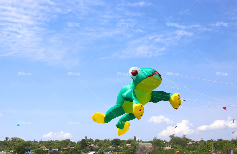Green kite in frog shape is flying in the blue sky