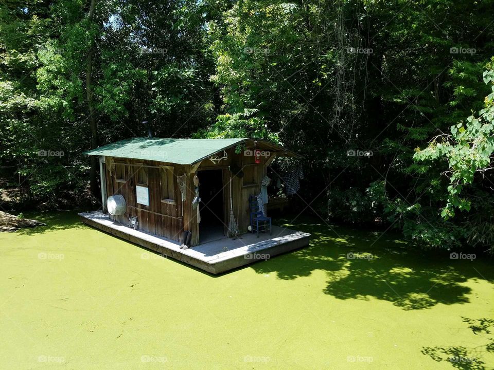 Swamp Shack