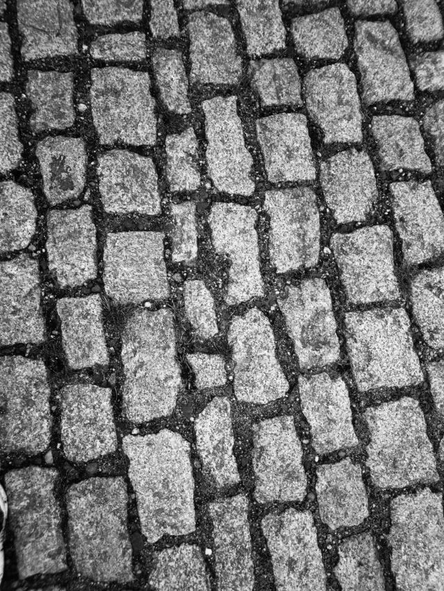 Bricks