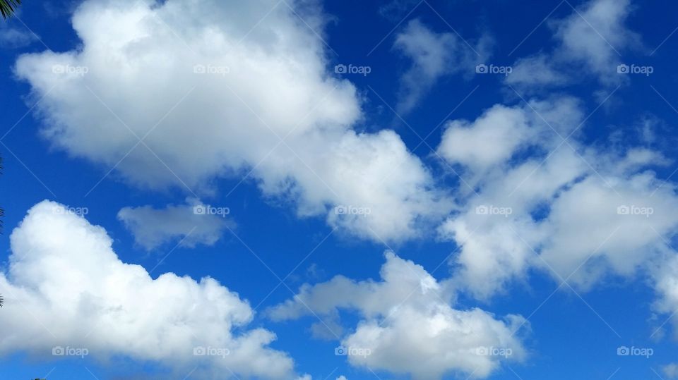 Puffy Clouds. The sky is blue, the clouds are white and it's a truly beautiful day!
