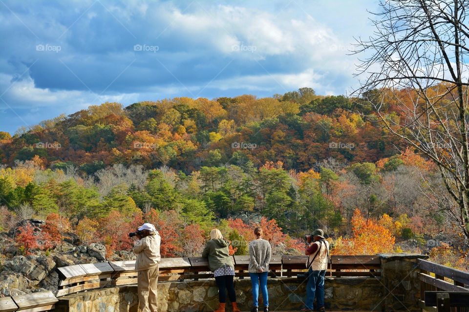 Autumn Tourists