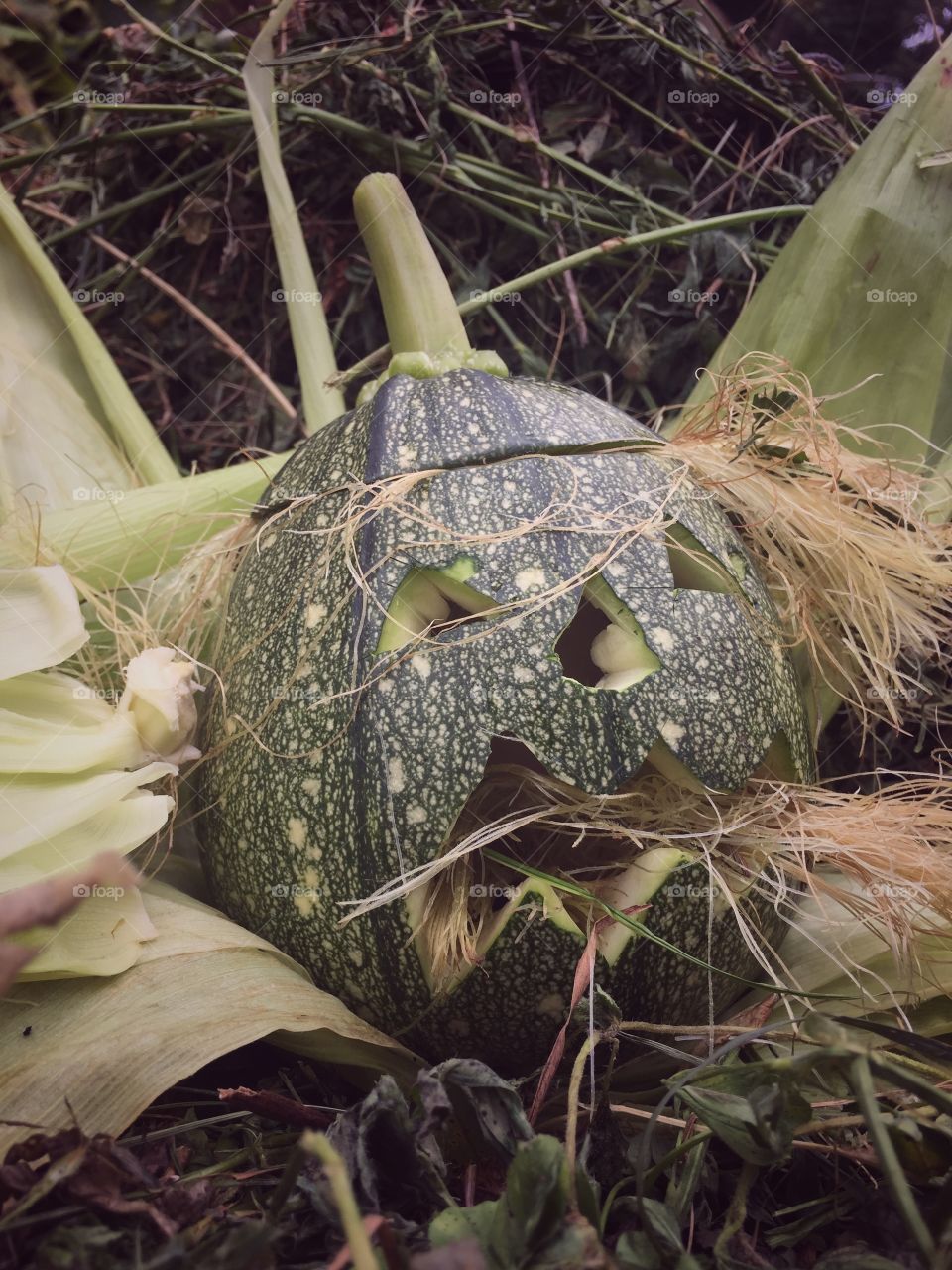 Halloween pumpkin scary face
