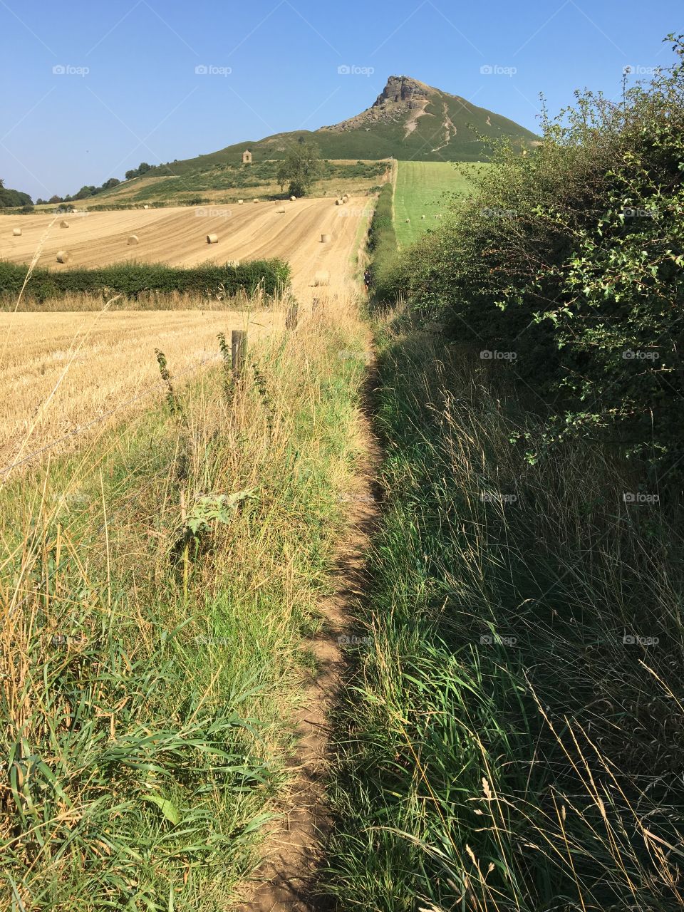 English Countryside 