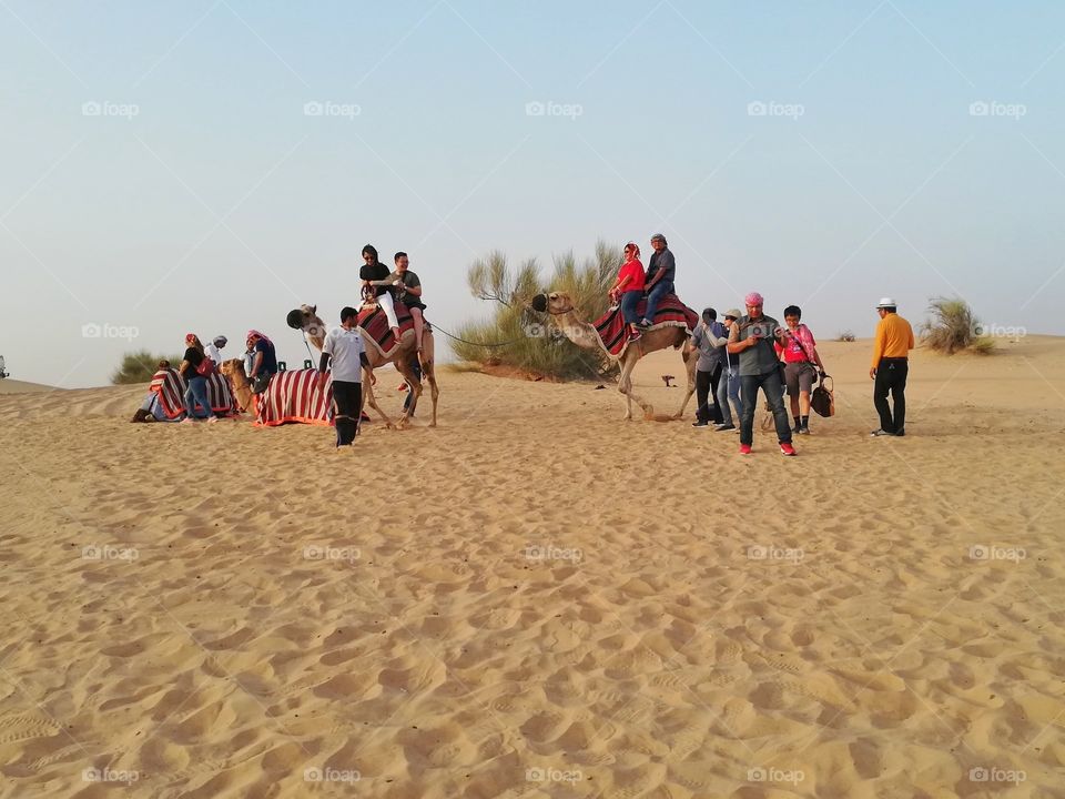 a group of tourists in the desert of Dubai