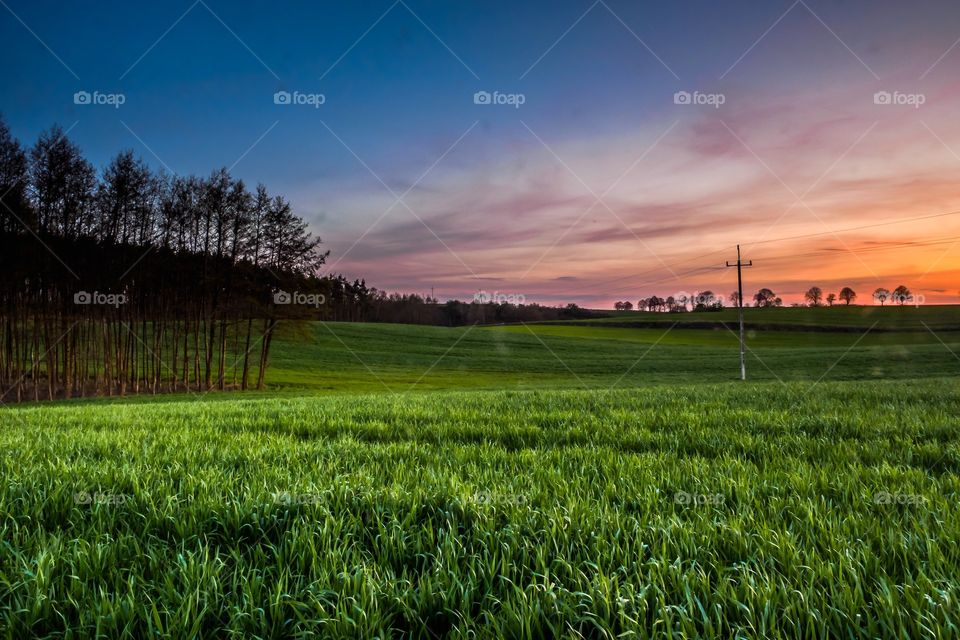 Wojnowice, Osieczna, Poland