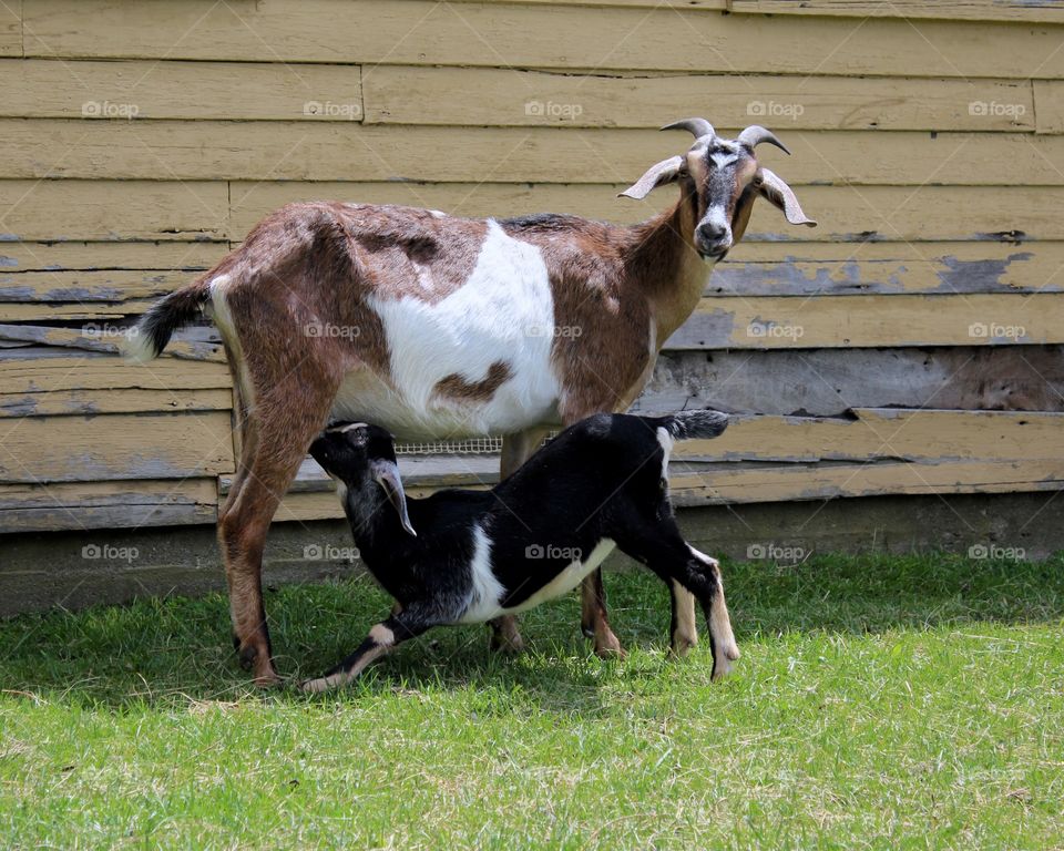 Are you kidd-ing me?