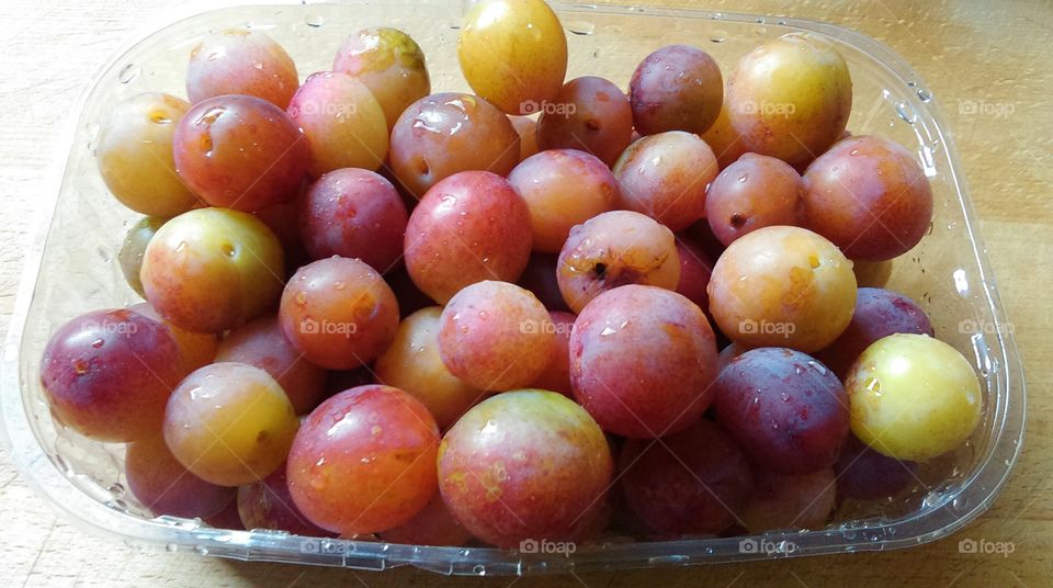 foraging plums