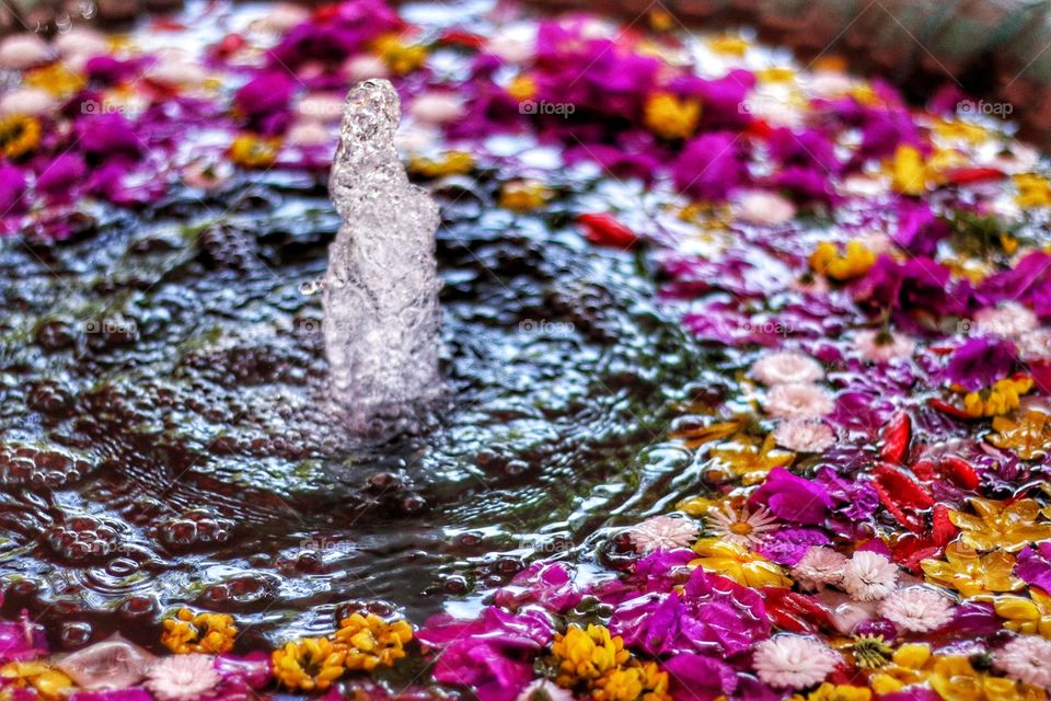 Water and flowers