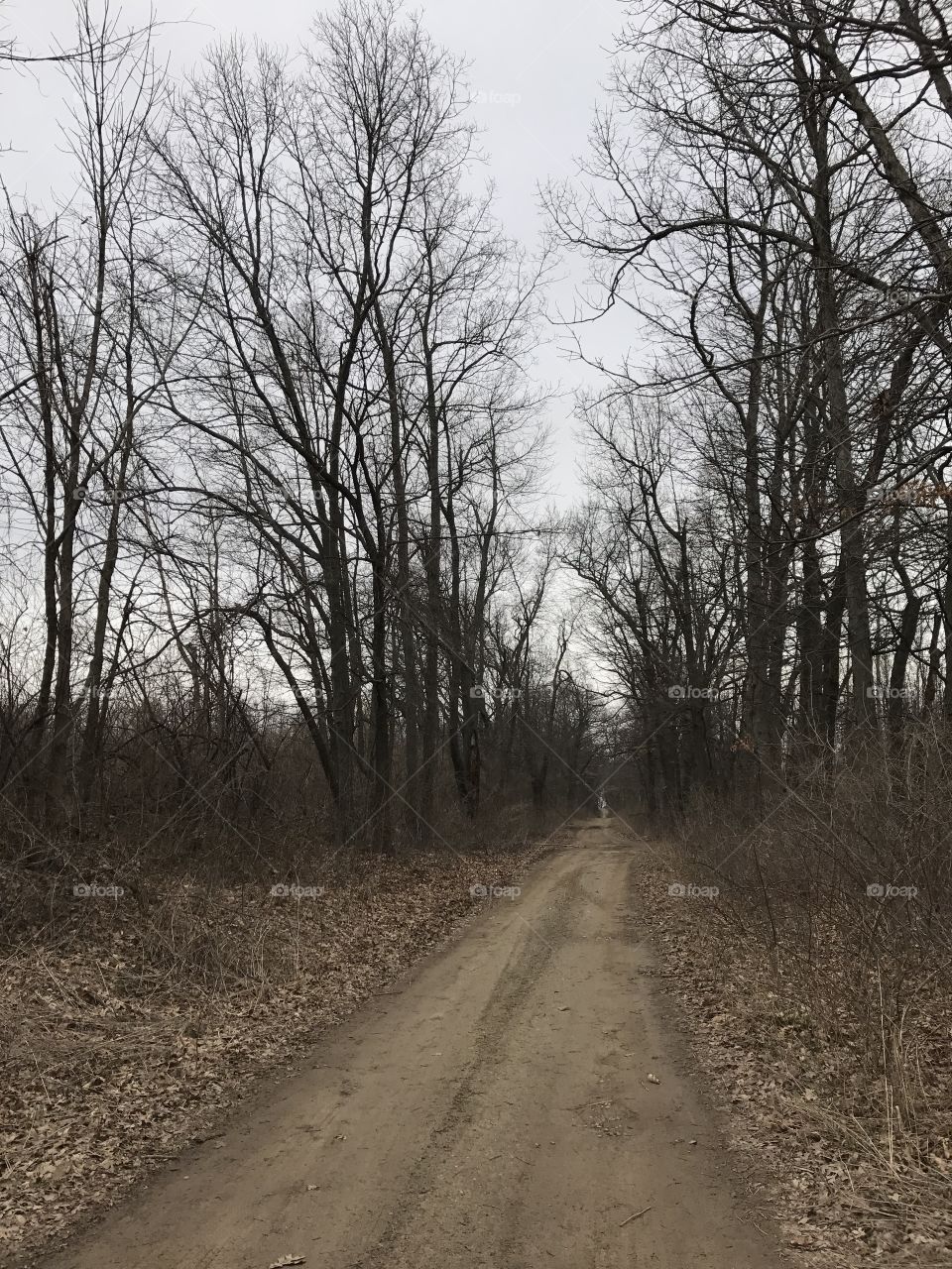 Trails on fox lake road 