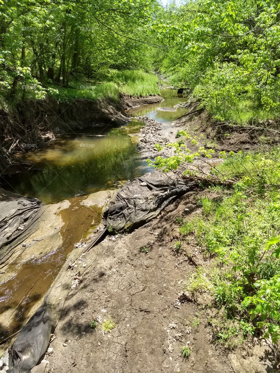 Creek, a tributary to the Missouri River.
