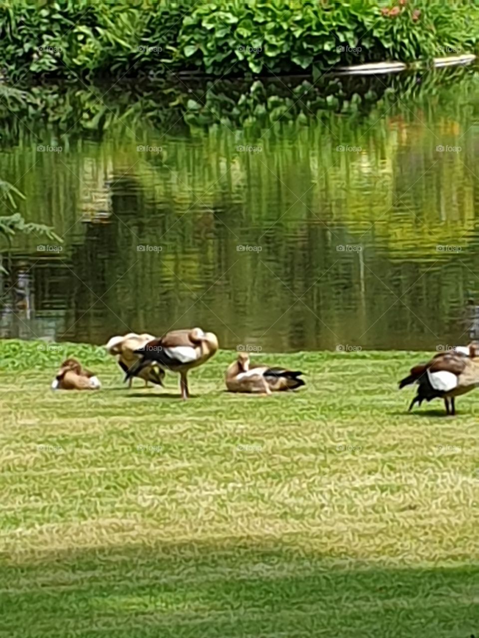 Palmengarten Frankfurt