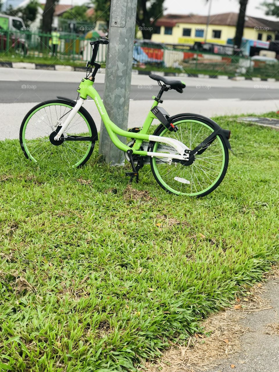 A green city bicycle stands over the  green grass and lean on the pole 