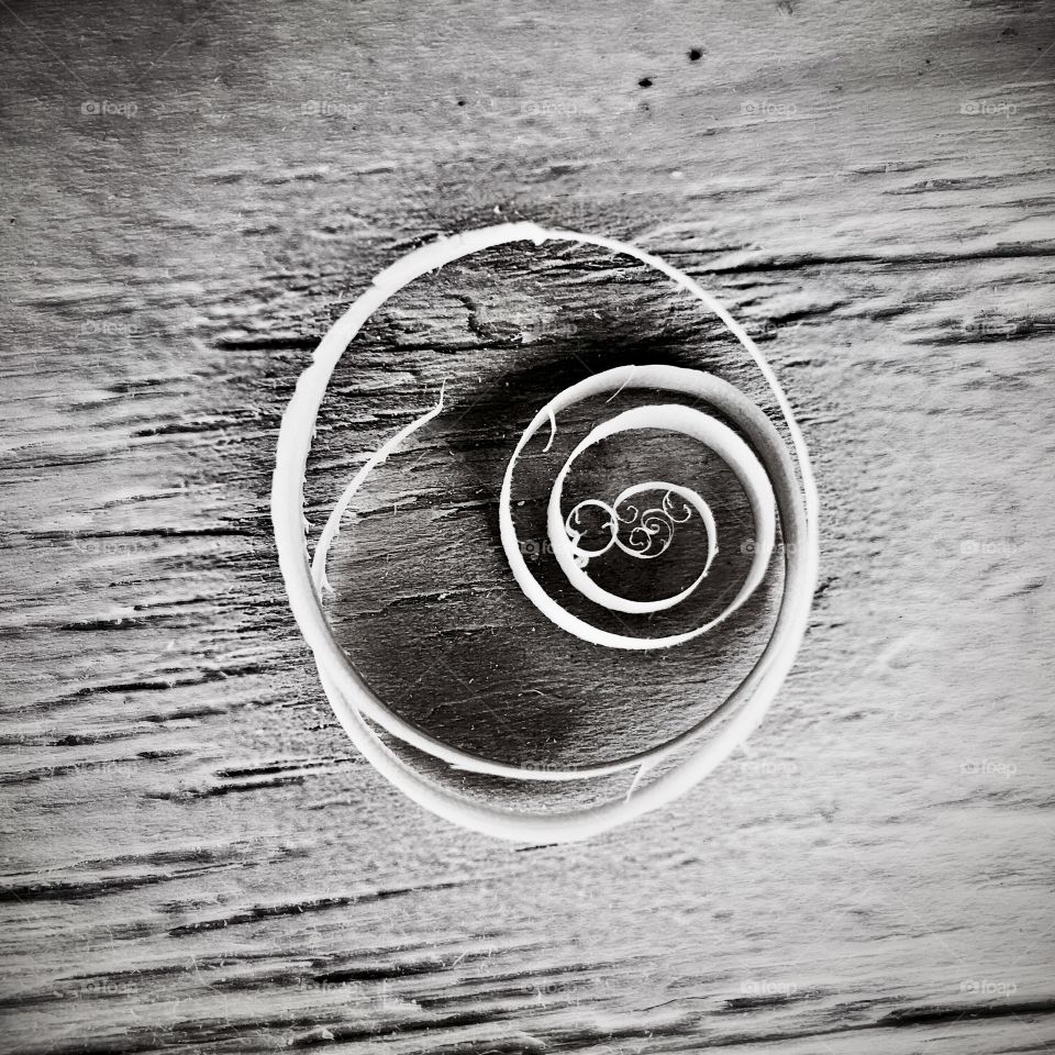 curled wood shaving on wood background