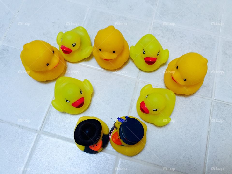 My ducks