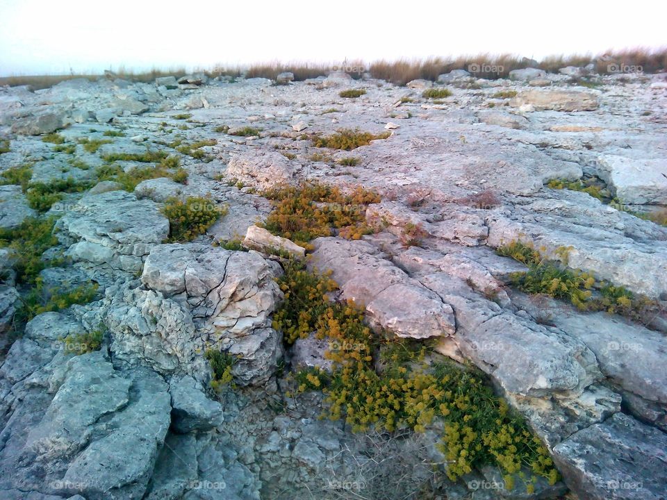 Nature, Water, Rock, Landscape, Stone