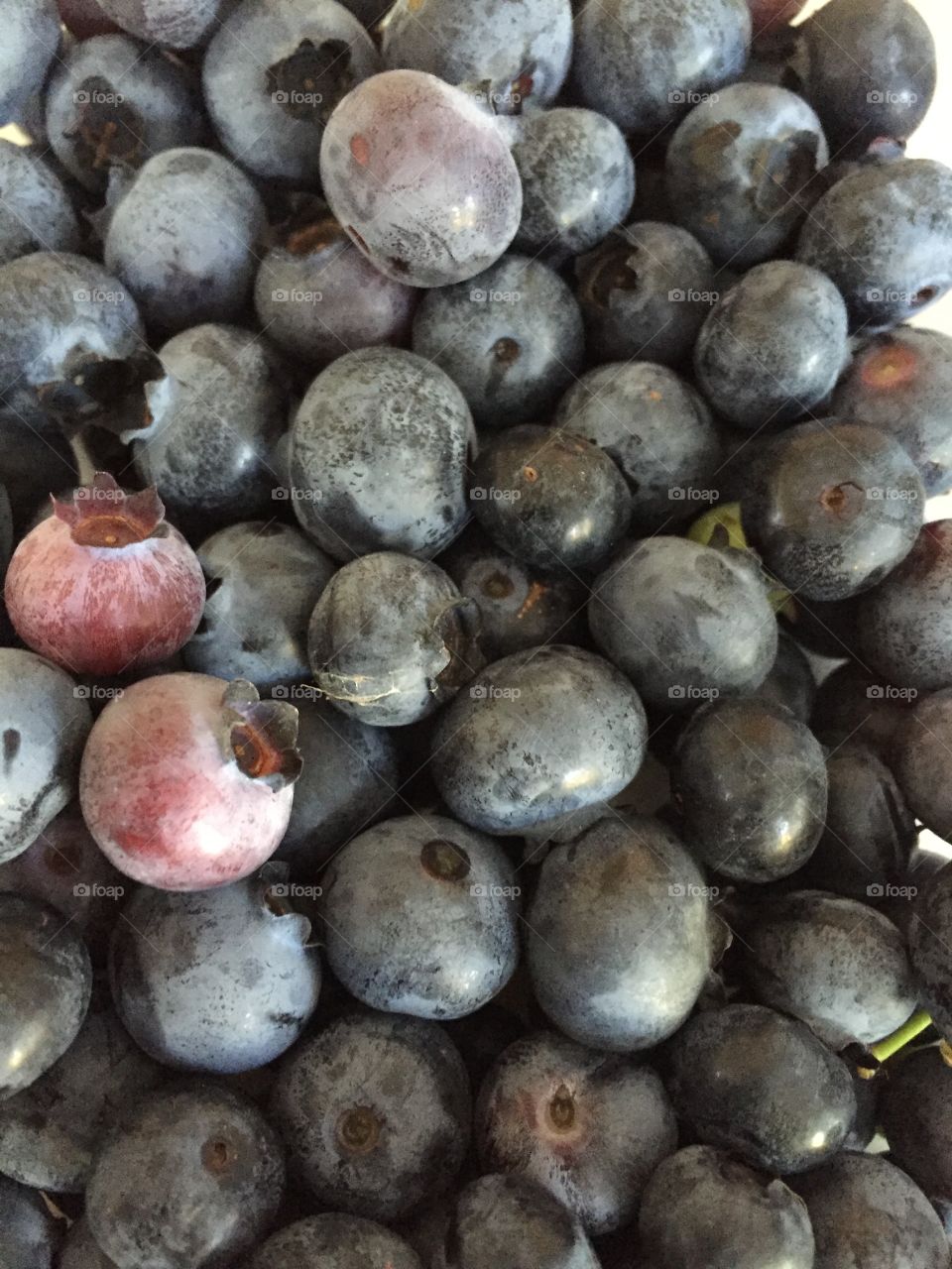 Home grown blueberries