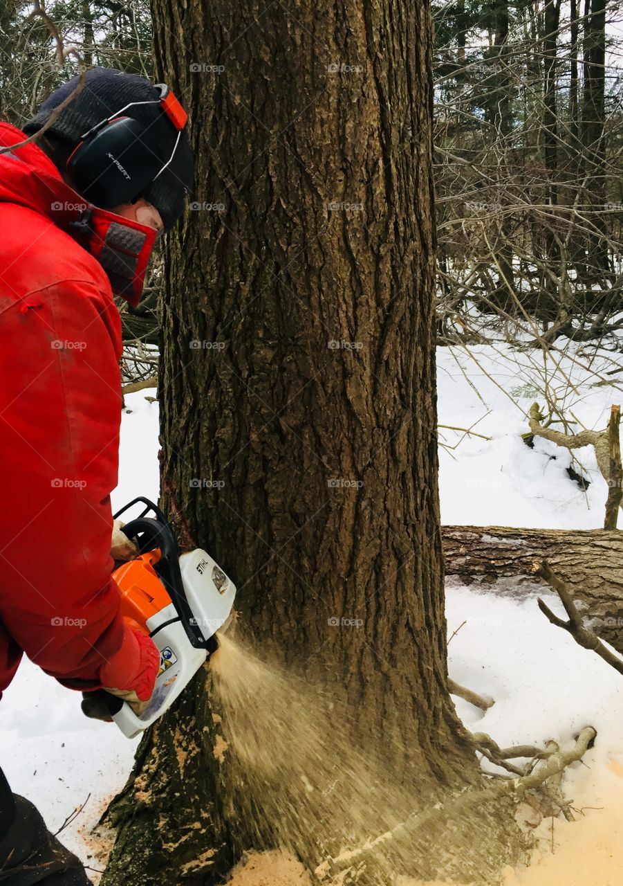 Cutting a sick tree