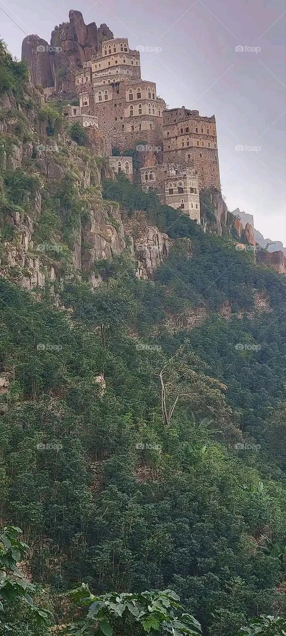 A very beautiful picture, and there is no better picture than it. There is no better picture of green herbs and colorful, red and white roses than it. Glory be to God, the natural and picturesque view, and there is no more
