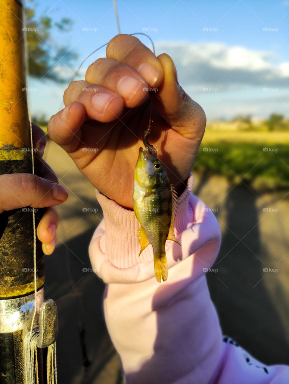tiny fish