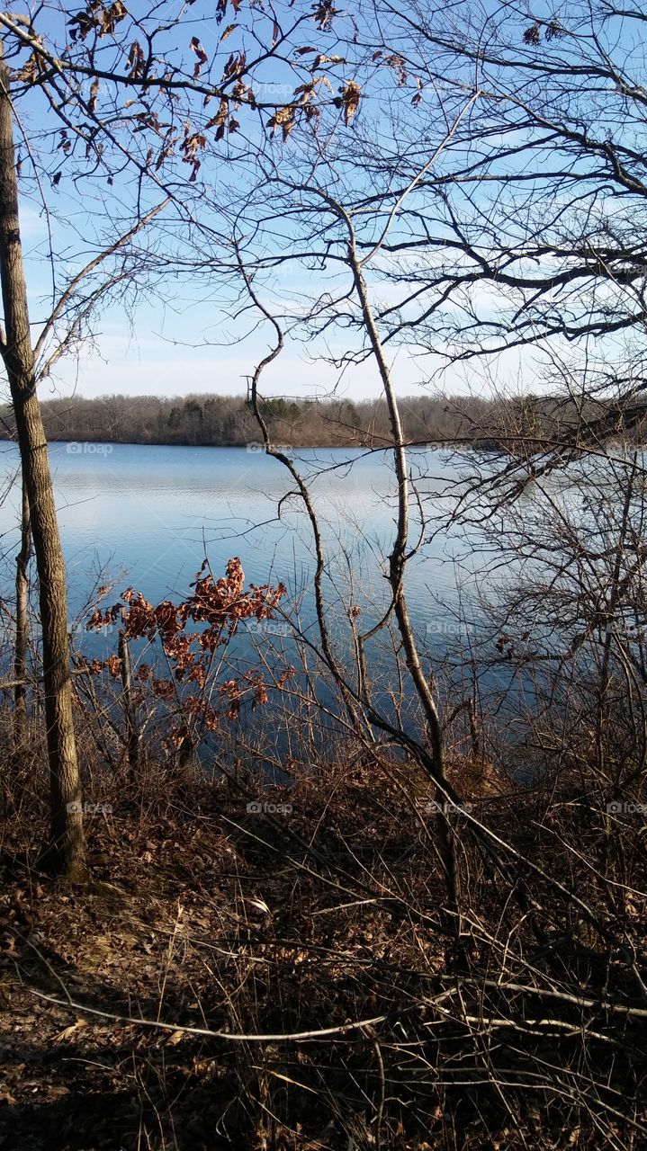 lake evergreen