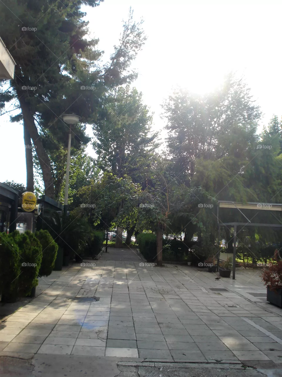 park