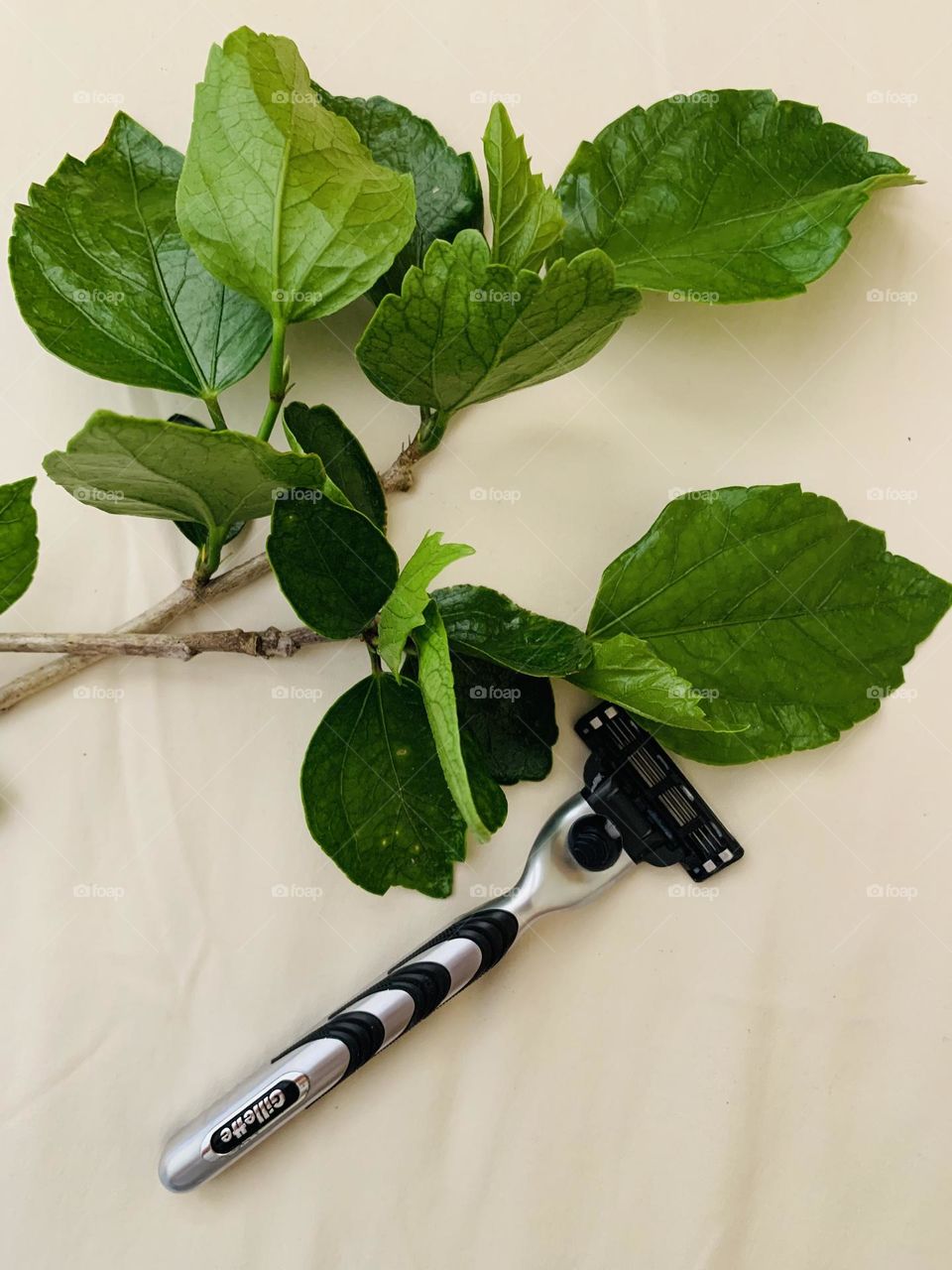 “A man shaves their face at least once a week to show a woman how good they look.”~S.Gibson